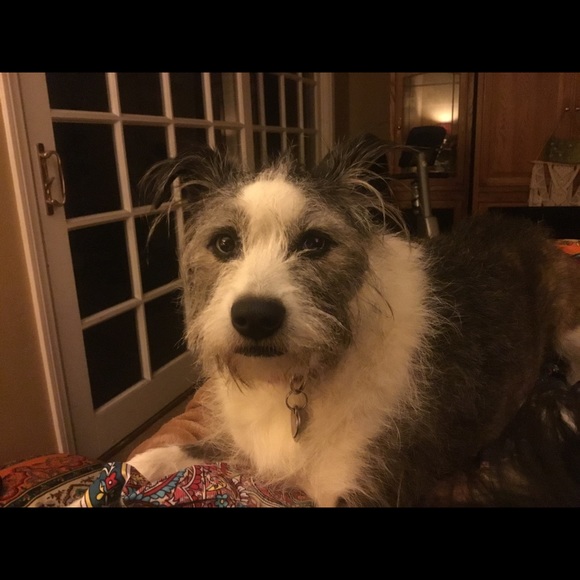 Meet your Posher, Brenda - Picture 2 of 4